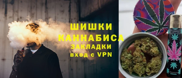 индика Ельня