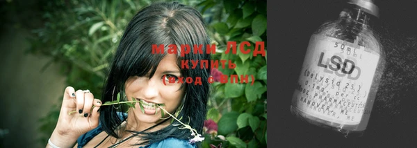 индика Ельня