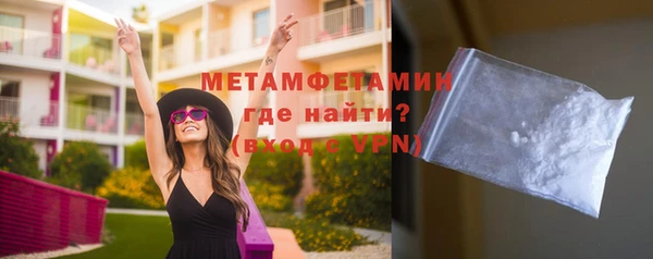индика Ельня