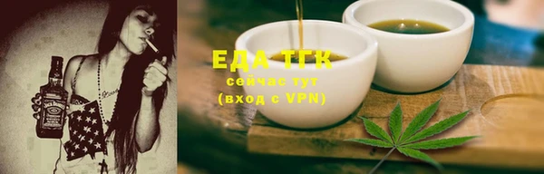 индика Ельня
