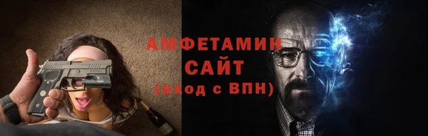 индика Ельня