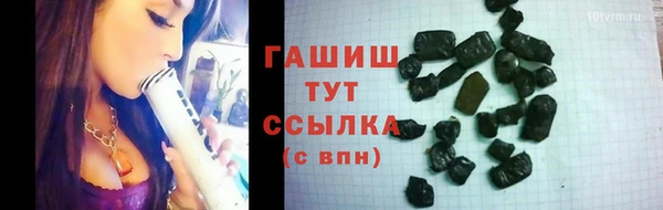 индика Ельня