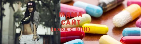 индика Ельня