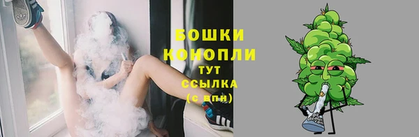 молекула духа Заводоуковск