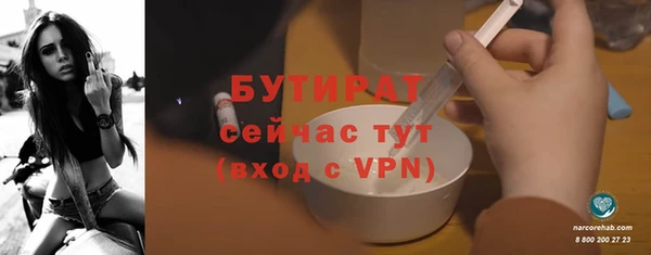 индика Ельня
