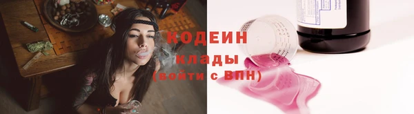 индика Ельня