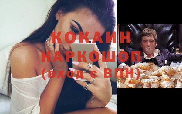индика Ельня