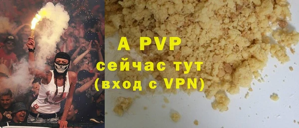 индика Ельня