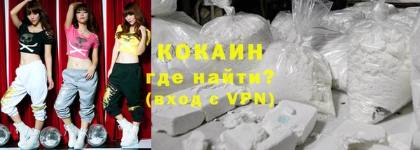 индика Ельня