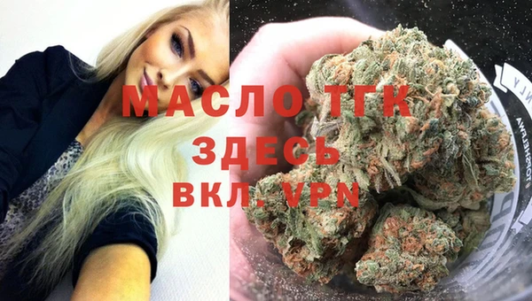 индика Ельня