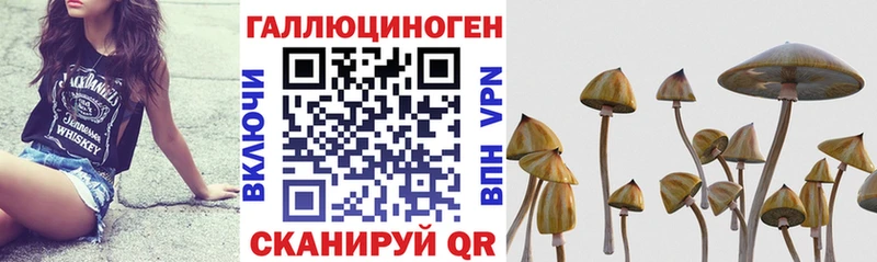 дарк нет телеграм  kraken зеркало  Зеленокумск  даркнет сайт  Галлюциногенные грибы ЛСД 