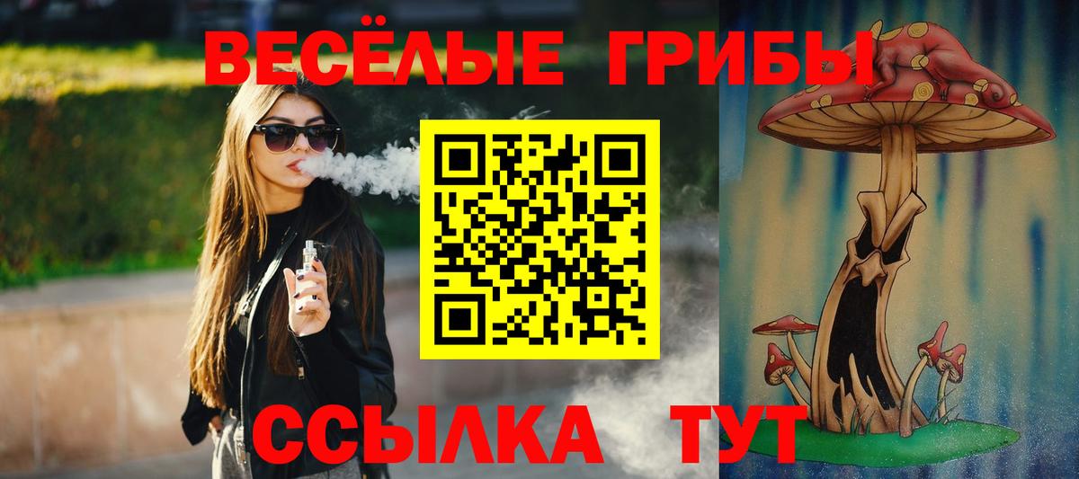 Псилоцибиновые грибы Magic Shrooms  Галлюциногенные грибы Cubensis  Зеленокумск  Вход с VPN 